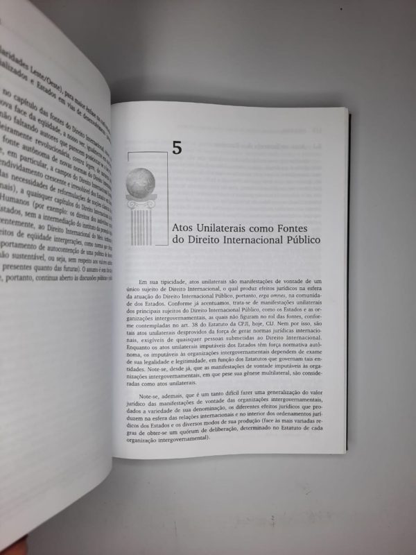 Curso de direito internacional público (Volume 1) - Image 2